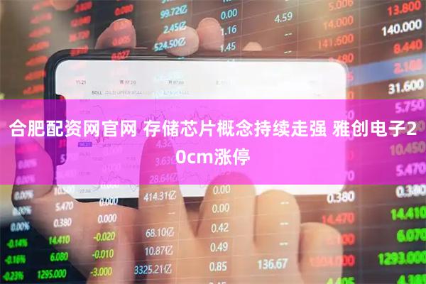 合肥配资网官网 存储芯片概念持续走强 雅创电子20cm涨停